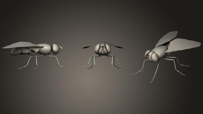 نموذج ثلاثي الأبعاد لآلة CNC الحشرات طائر منخفض